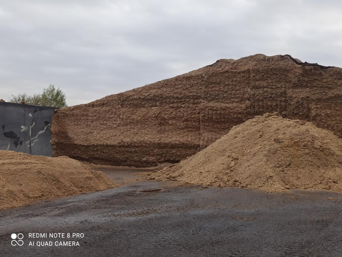 Kupa trocin lub wi&oacute;r&oacute;w na zewnątrz, przy ścianie. Częściowo przykryte, szare niebo w tle.